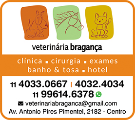 Veterinaria Braganca