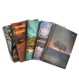 Caderno 1/4 Espiral Capa Dura 96 Folhas – Unidade