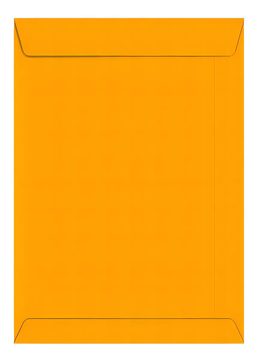 Envelope Saco Kraft Ouro 200x280mm 80g – Envelope Pardo Amarelo para Meia Folha e Livretos – Unidade Avulsa Envelope Saco Kraft Ouro 200x280mm 80g – Envelope Pardo Amarelo para Meia Folha e Livretos – Unidade Avulsa